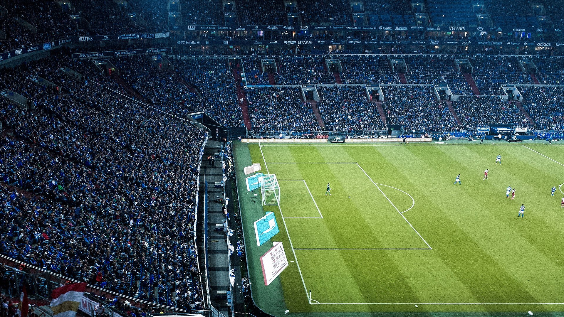 戈贝尔爆发难挽狂澜，国王攻防一体正面击溃森林狼